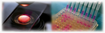 Autologous Platelet Rich Growth Factor
